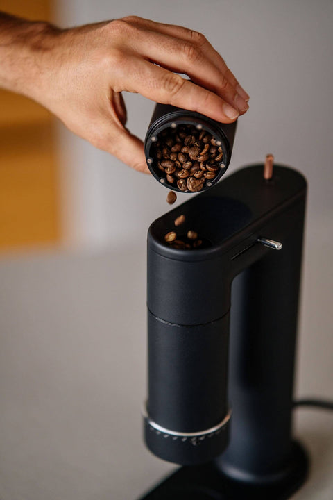 ARCO 2-in-1 Coffee Grinder - Next Specialty Coffee